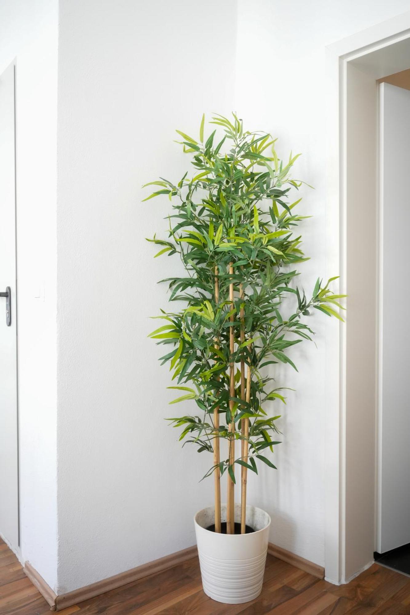 Ferienwohnung Altstadt Koblenz 코블렌츠 외부 사진